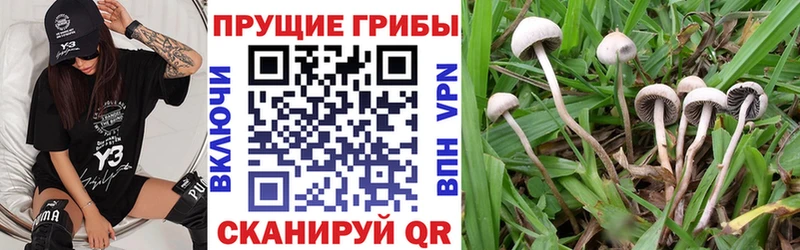 Галлюциногенные грибы мухоморы  Купить  Полысаево 