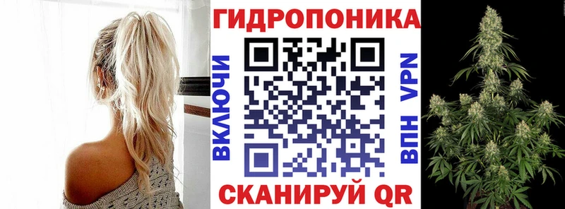 Конопля план Полысаево